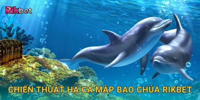 Chiến thuật hạ cá mập bạo chúa Rikbet